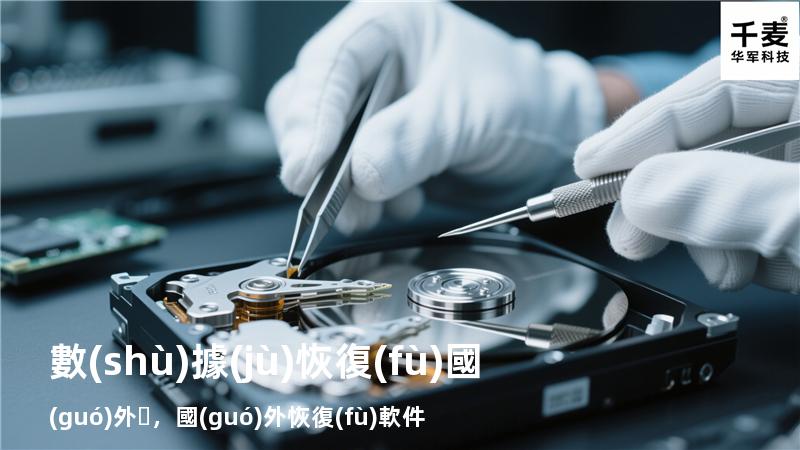 數(shù)據(jù)恢復(fù) 國(guó)外，國(guó)外恢復(fù)軟件